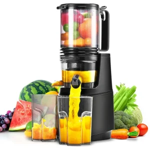 Large Feed Chute Cold Press Juicer: